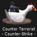 counterterrorist